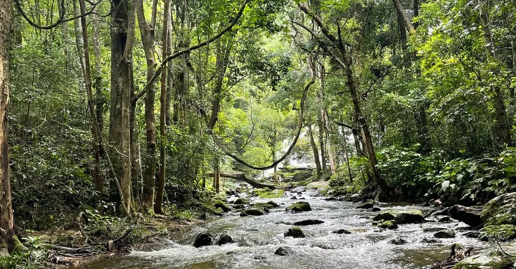 Emily & Ian 旅行日記
