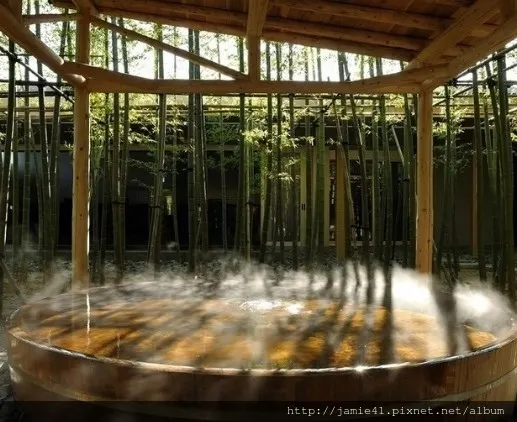 以上照片來自於官網