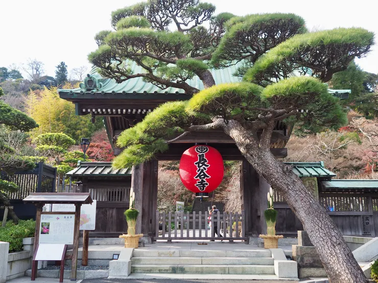 長谷寺門口，在團客間求生存拍到乾淨的照片