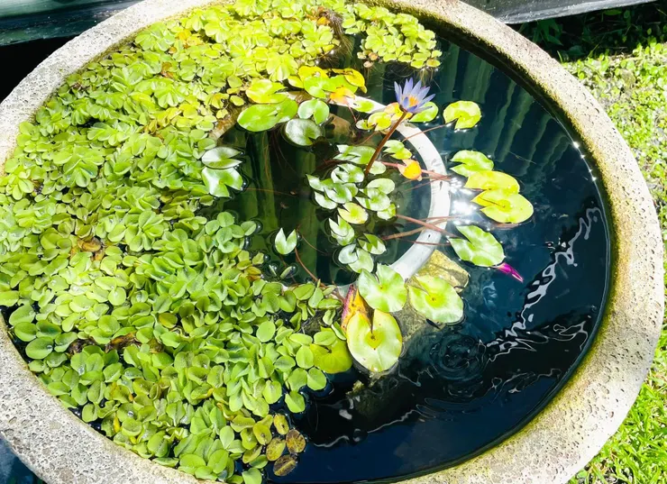 人生許多的遺憾與未知