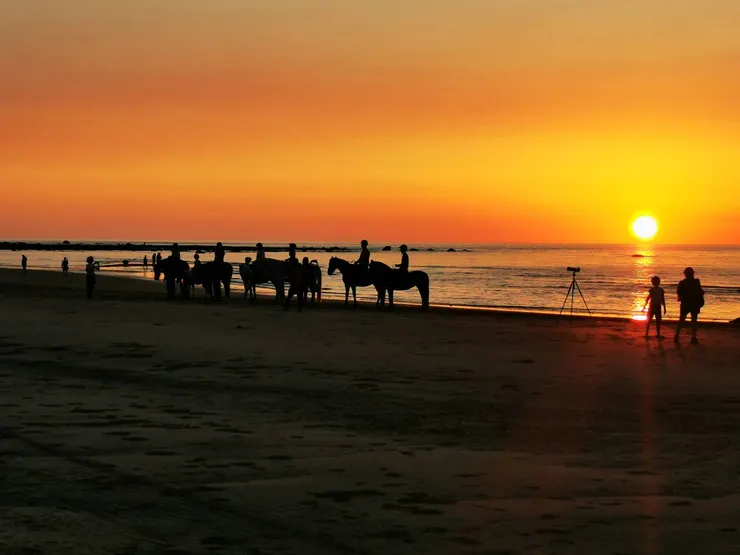 新北市.淡水河濱.馬術訓練 (Chung1攝影)