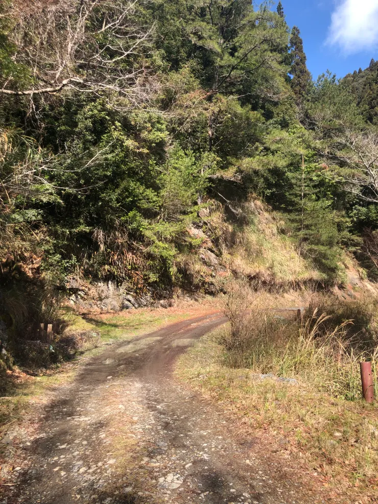 路面平緩，景色壯麗