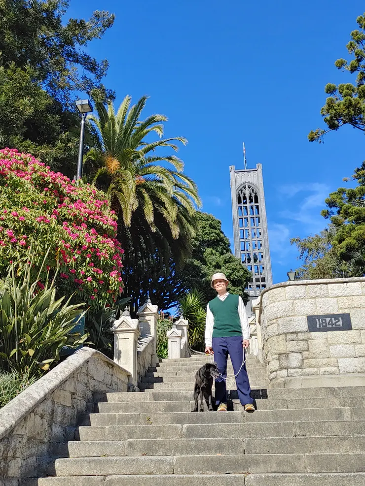 攜手遊賞尼爾森