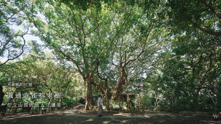 楊錦聰《心的凝望》MV截圖