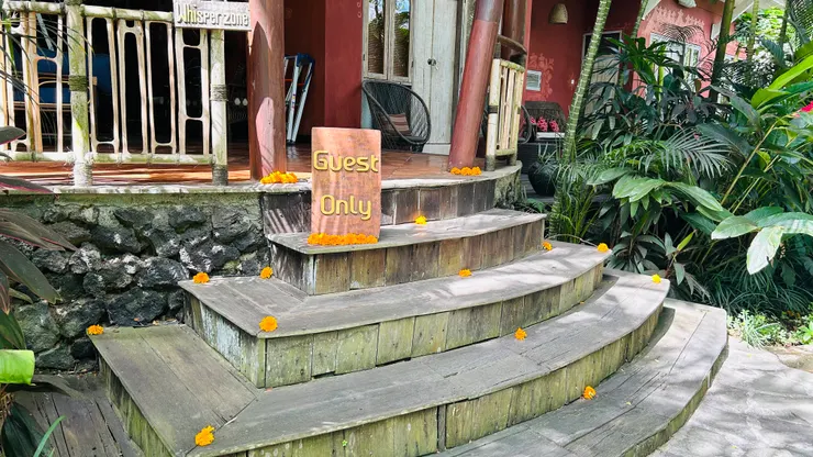 拾級而上的橘色花瓣