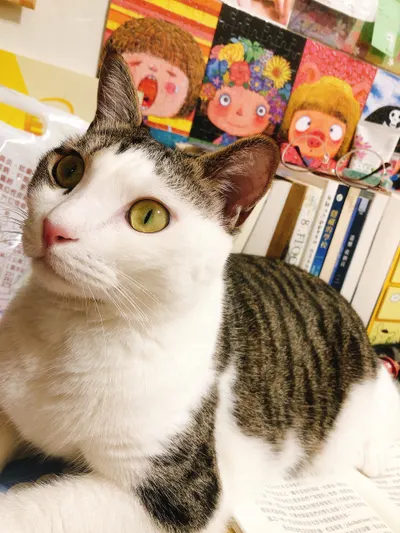 阿玲太愛我了怎辦😍