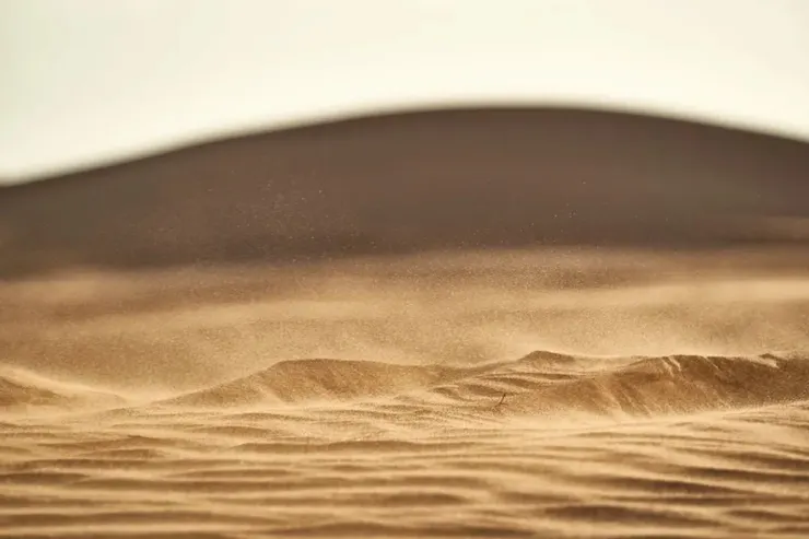 Photo by Wolfgang Hasselmann on Unsplash