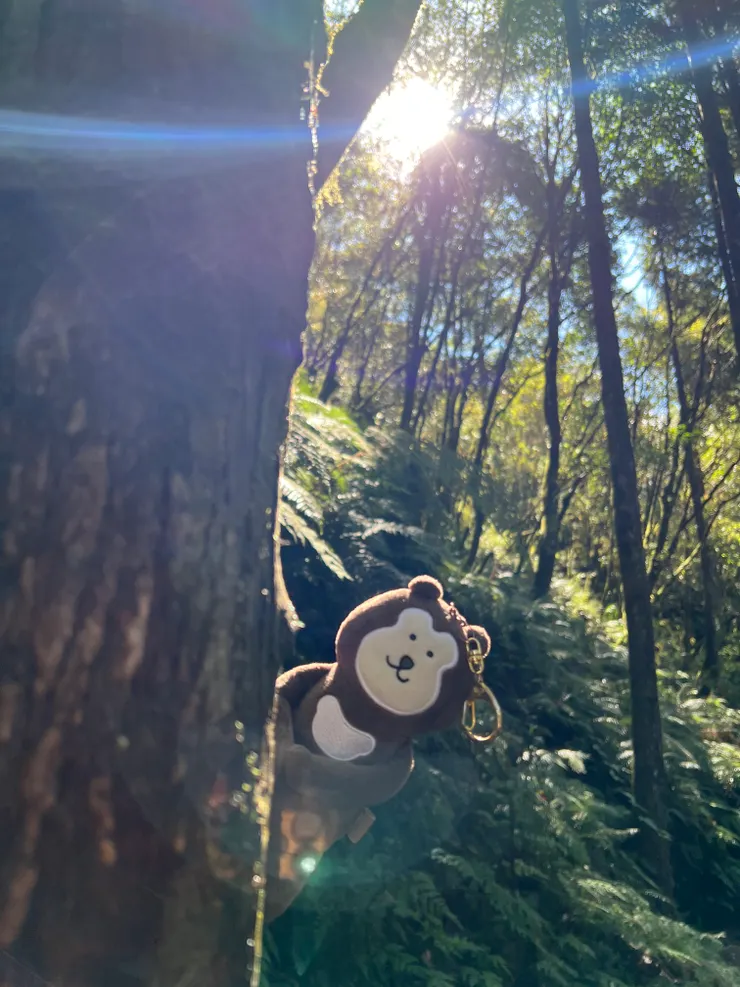 見晴步道很親民，平緩、不長，短短一段但景色不減，更有極負盛名的舊鐵道遺跡。走完可至對巷沿著人行步道一路上行至太平山莊，途中會經過一次廁所。天氣合適的話，上山時在這裡下車走一段是很順的行程安排，之後就不用再特地排時間下來走這一段了。