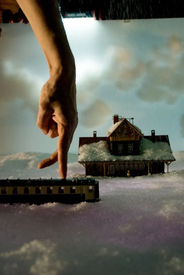 圖片©Maarten Vanden Abeele