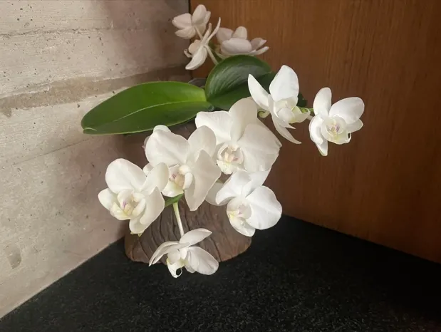 所有的改變,都源自心念的轉變。