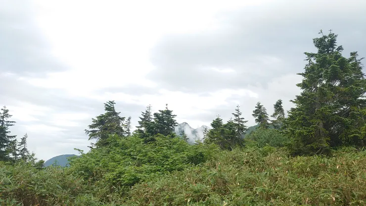 鹿島槍在那裏探出一對小耳朵