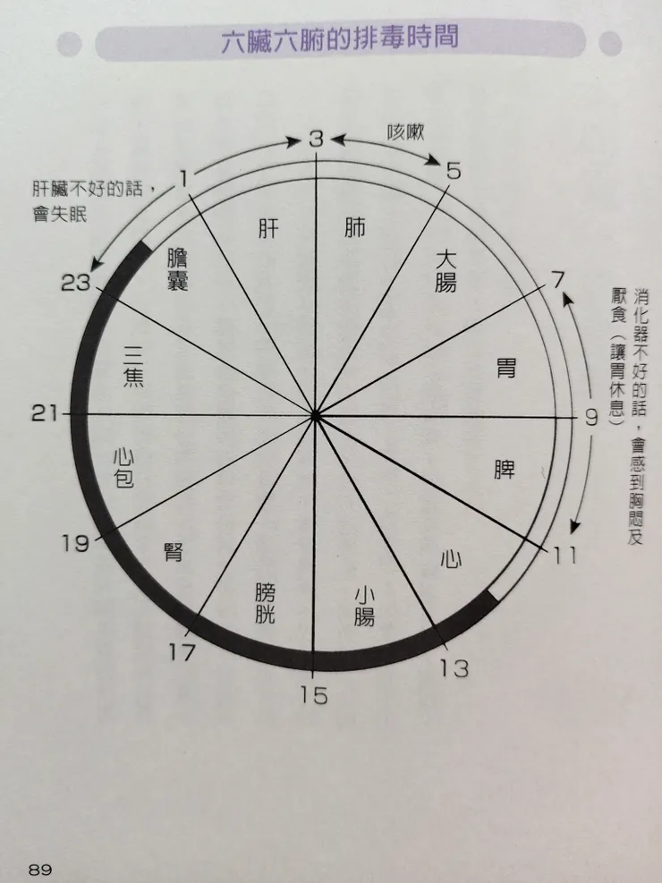 六臟六腑的排毒時間