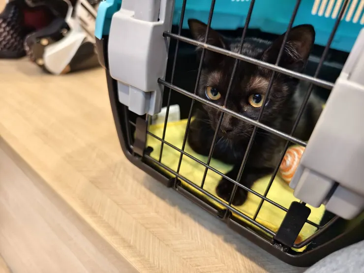 看醫生也非常穩定的錢錢