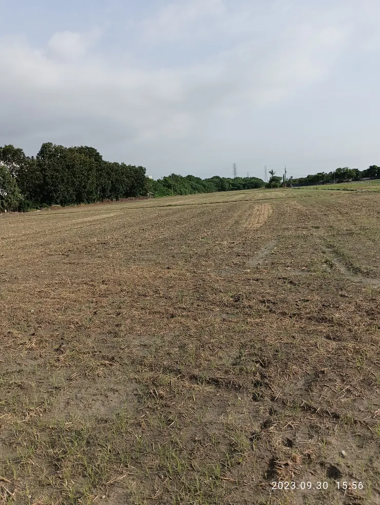 愁燼！野曠！自拍攝