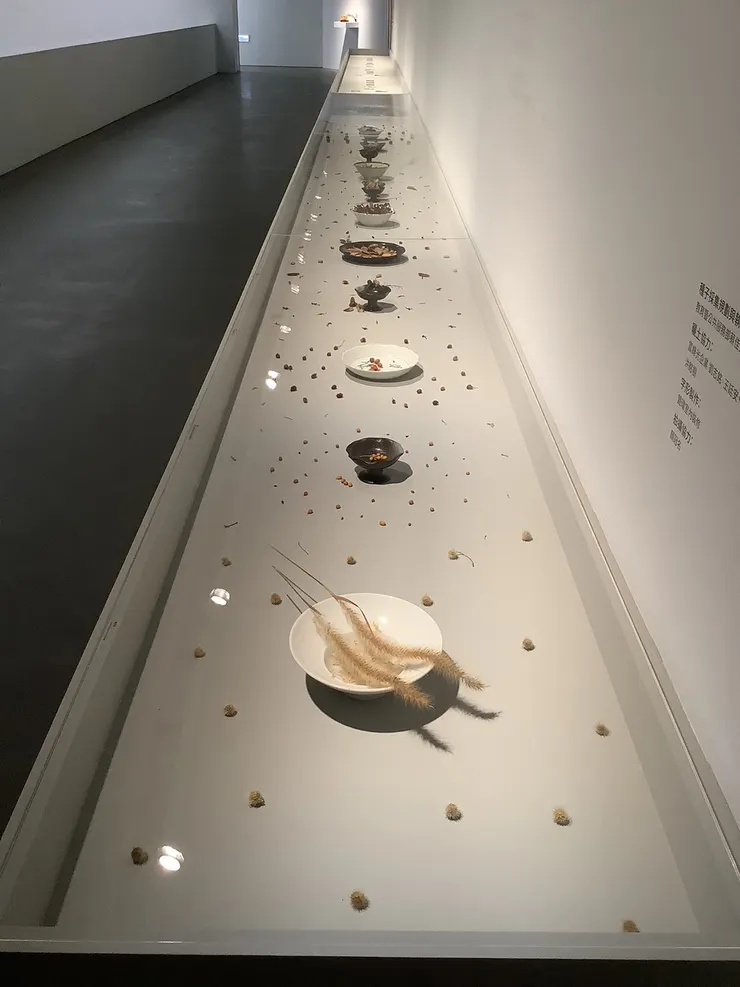 《如菌絲的的美術館：種子計畫》展示採集果實。