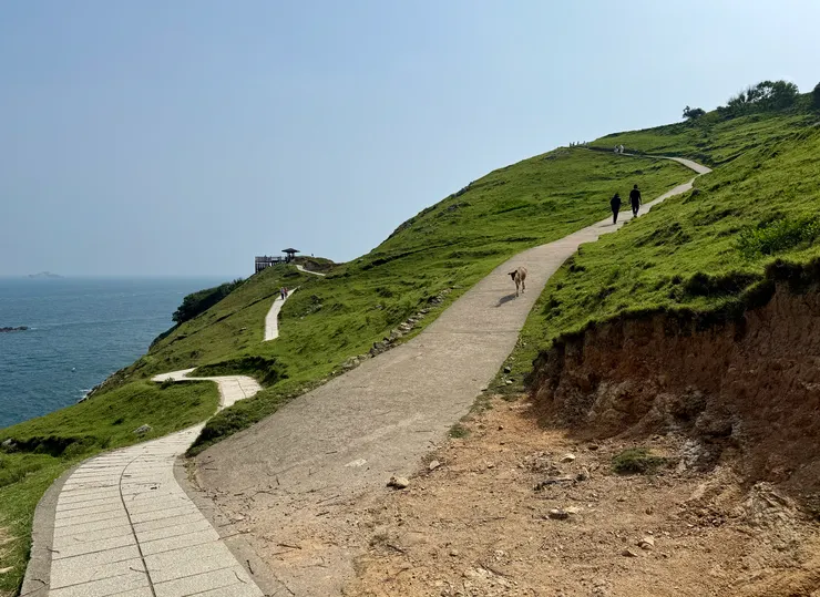 左邊是往虎魚岬觀景台，右邊可以繞一圈回碼頭