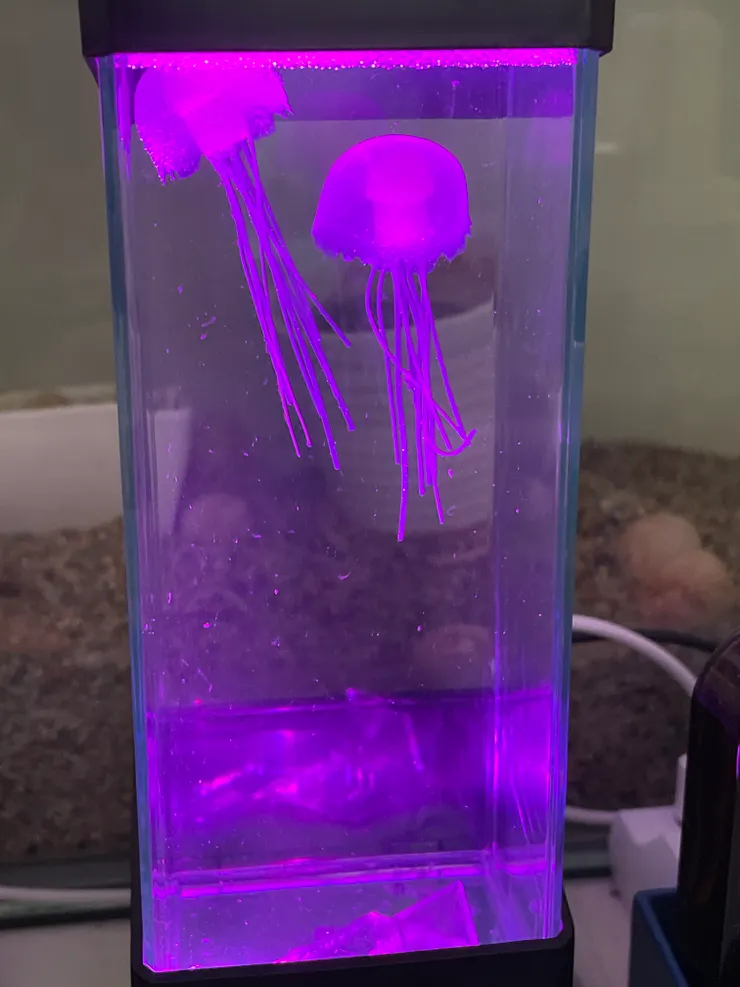 紫色有點太紫了哈哈