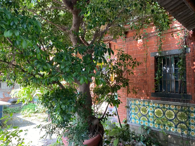 牆堵上有花磚裝飾