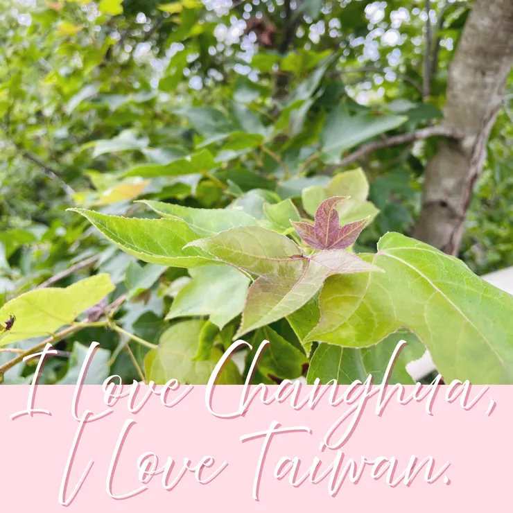 我愛彰化我愛台灣