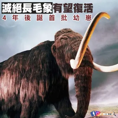 長毛象有望復活
