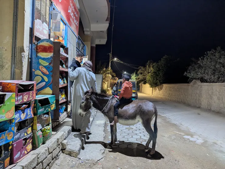 雜貨店前遇到騎驢來買東西的小男孩XD