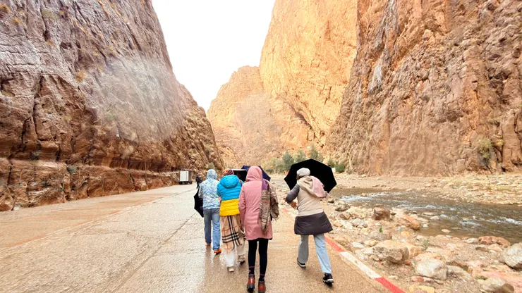 飄雨颳風凍到刺骨