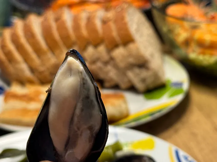 亞得里亞海的新鮮Mussel個頭小歸小, 吃起來跟生蠔一樣美味鮮嫩