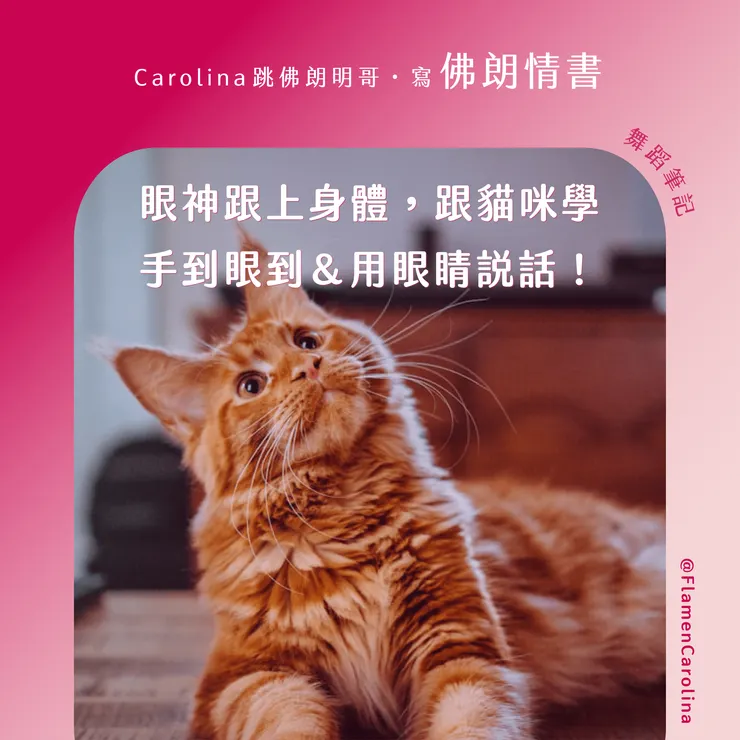 眼神跟上身體，跟貓咪學手到眼到&用眼睛說話！
