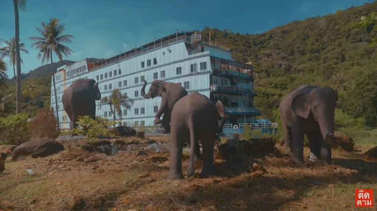 圖片擷取自YouTube-TRIP ZEED