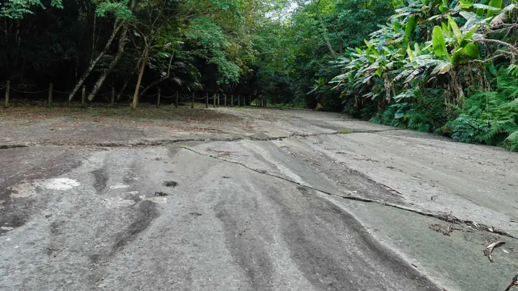 水路痕跡清晰可見
