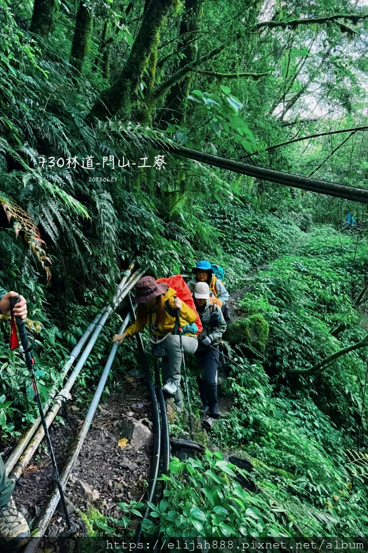 【閂山鈴鳴.挑戰兩日走50公里】王小明民宿/730林道/ 海