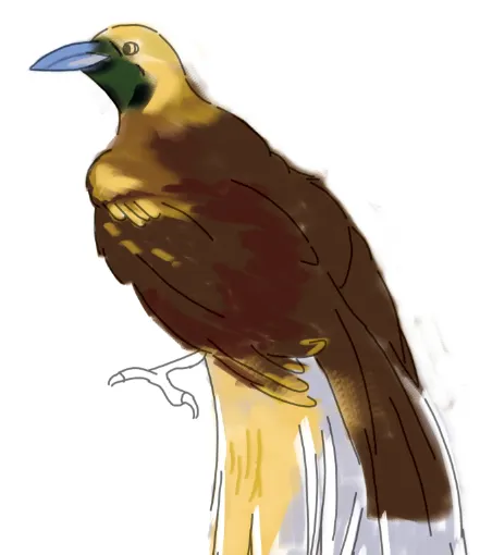 PH電繪-國寶鳥背影