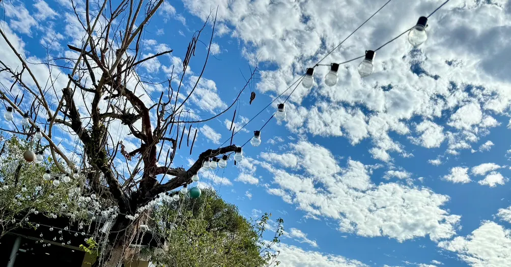 No Idea No Play的沙龍