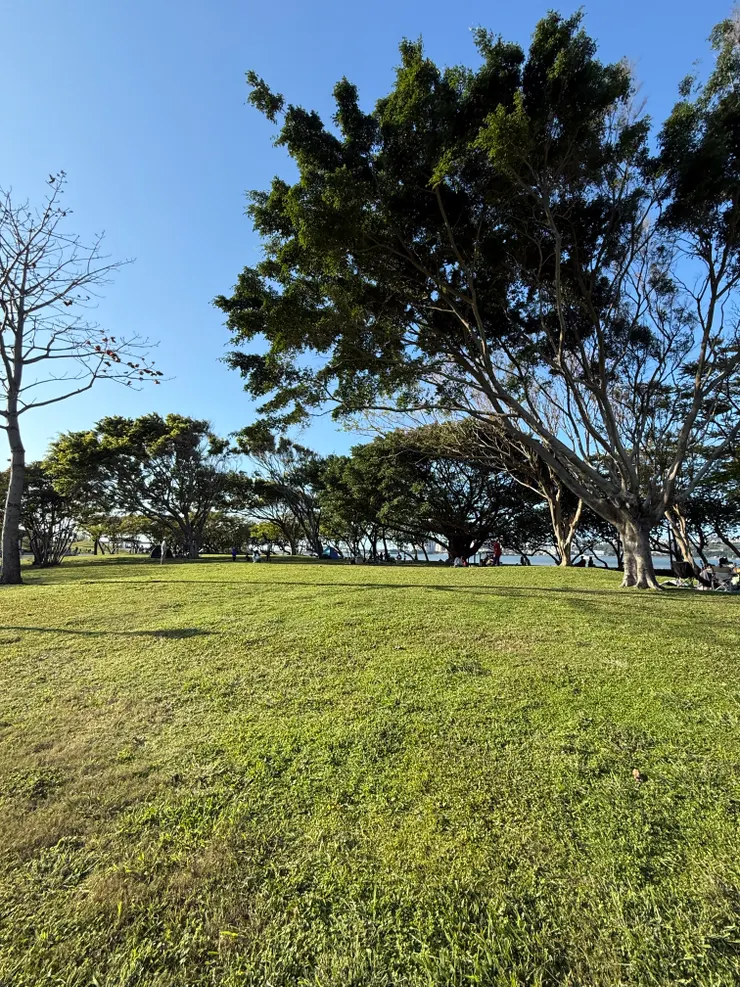 2026/03/15 小山坡