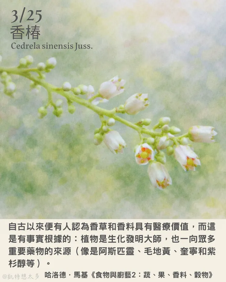 香椿×哈洛德．馬基《食物與廚藝2：蔬、果、香料、穀物》