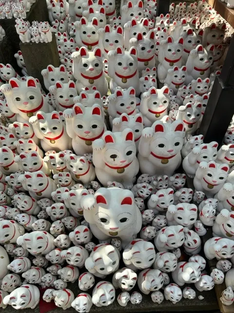 這個角度讓人有點密集恐懼症發作