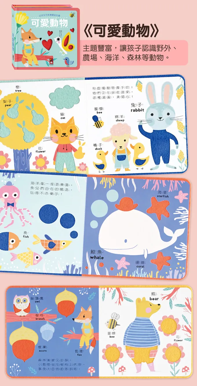 圖片資料來源：風車官網