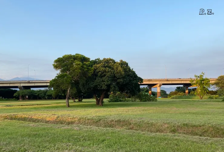 遊憩區一景  ([陳傳義]拍攝)