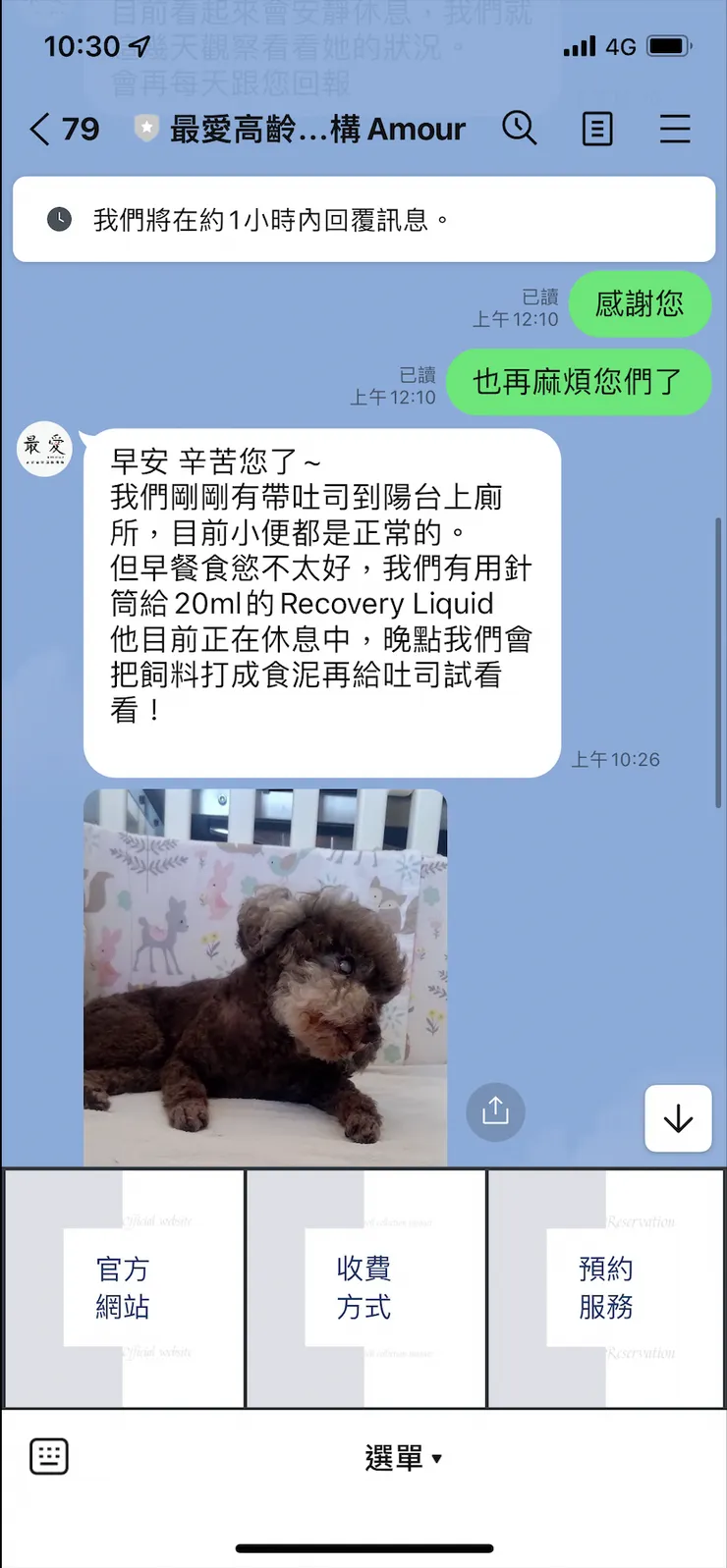 每天透過Line匯報