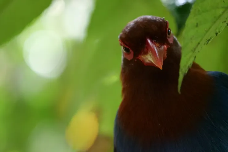 究竟你有多不怕人？