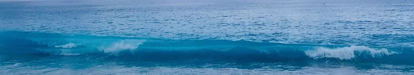 文字裁縫師的沙龍