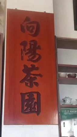 [台北美食]貓空在地茶農的手藝，晨曦茶坊源自文山區鐵觀音始主