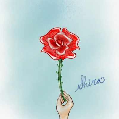 大雪會融，水會滋養大地，盛開的花園是你的歸屬之地。