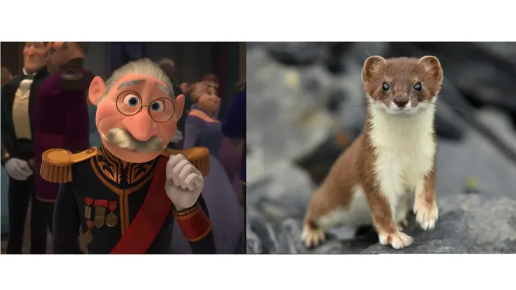 Weselton & weasel （看起來來滿像的吧？）