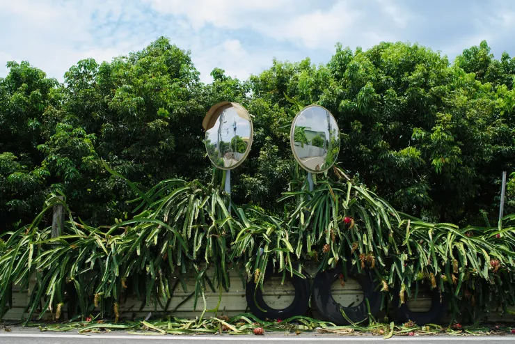 照片由李彥澍提供