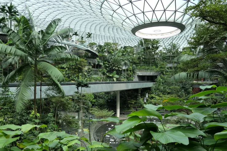 新加坡樟宜機場不惜成本，打造出圓頂室內瀑布雨林！
