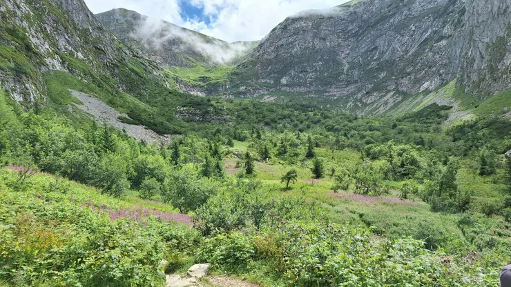 下山前往 Dolina Małej Łąki 經過的谷地