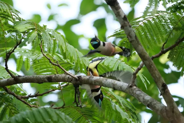 這種顔色的配搭實在太前衛