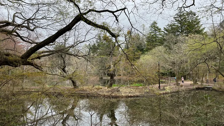有空真的能播時間來走走。