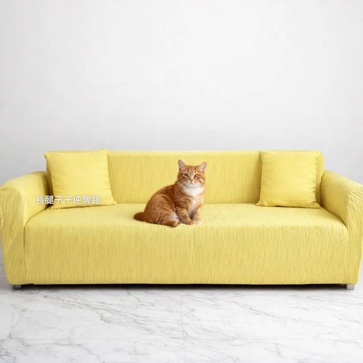 終於不用再擔心沙發被貓咪抓破了💛